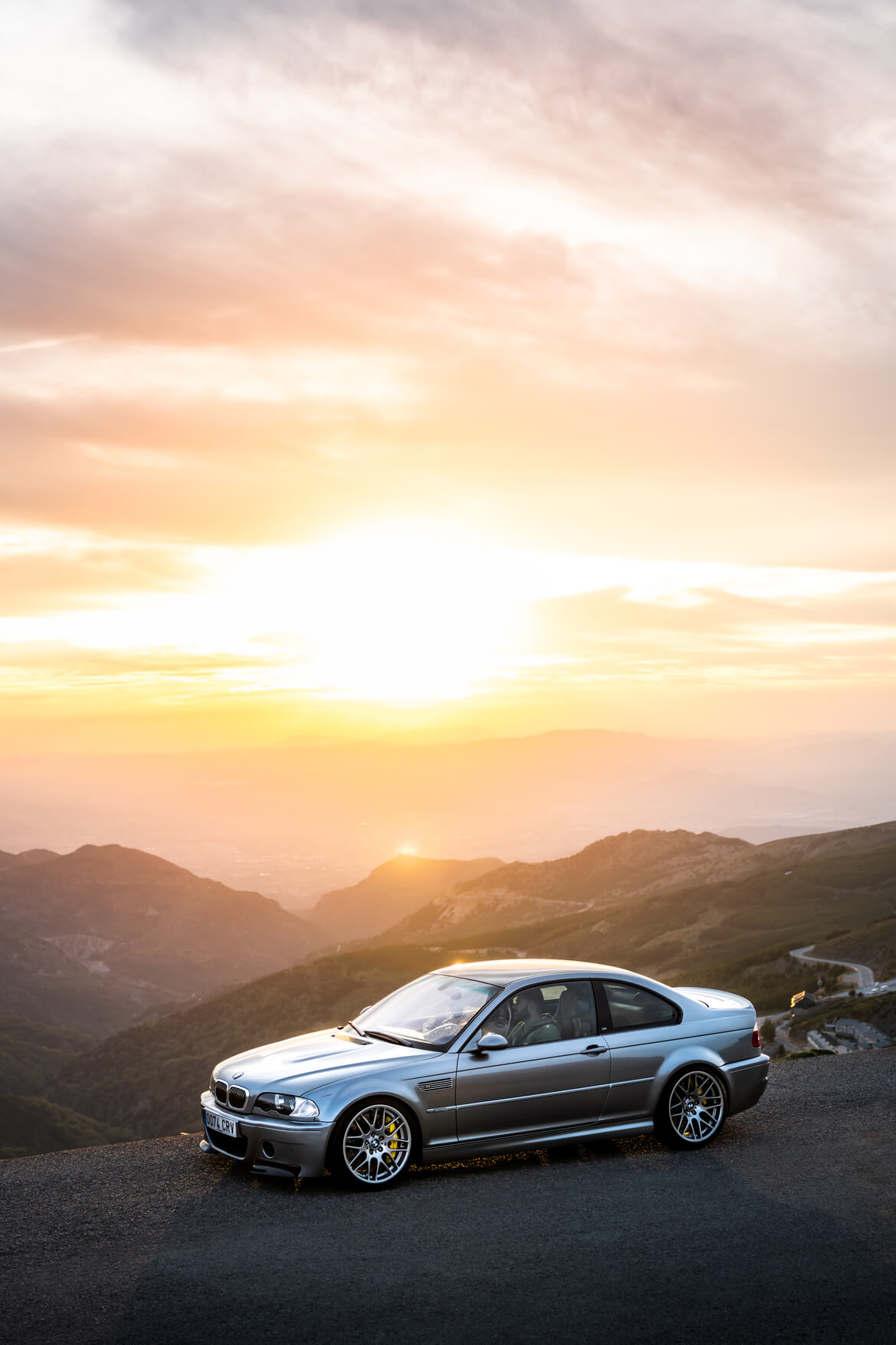 Foto vertical pantano